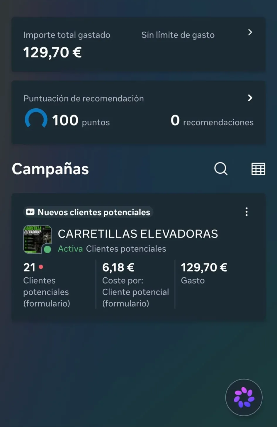 Panel de Google Ads con puntuación de recomendación de 100 puntos, sin recomendaciones pendientes, y 21 clientes potenciales a 6,18 €